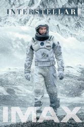 Interstellar-Hindi-Dubbed-Gogomovies