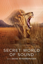 Secret-World-of-Sound-with-David-Attenborough